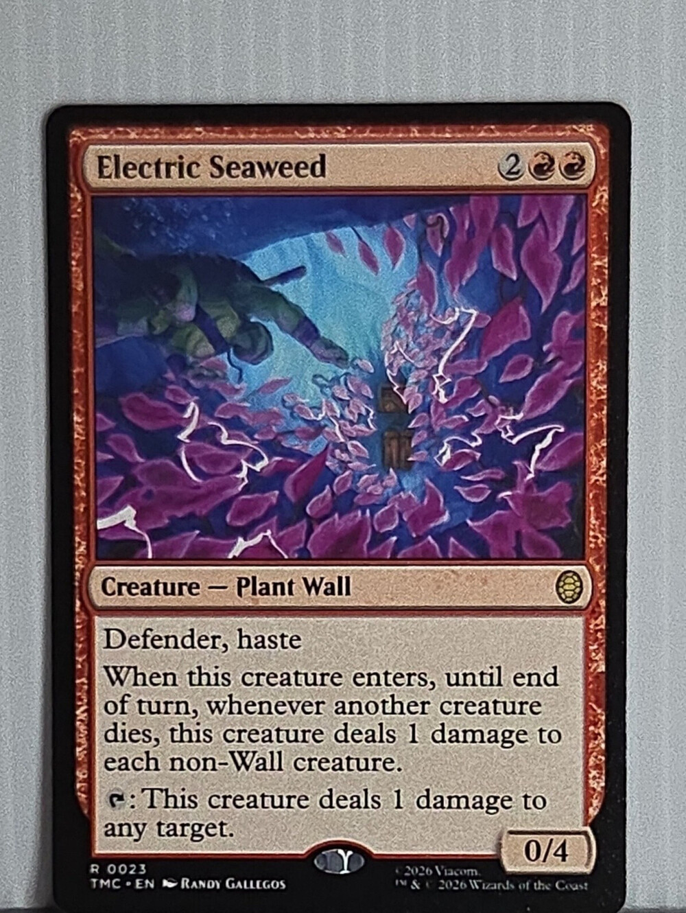 Electric Seaweed Commander: Teenage Mutant Ninja Turtles Regular